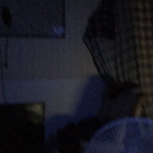 Meet your Posher, Teddy